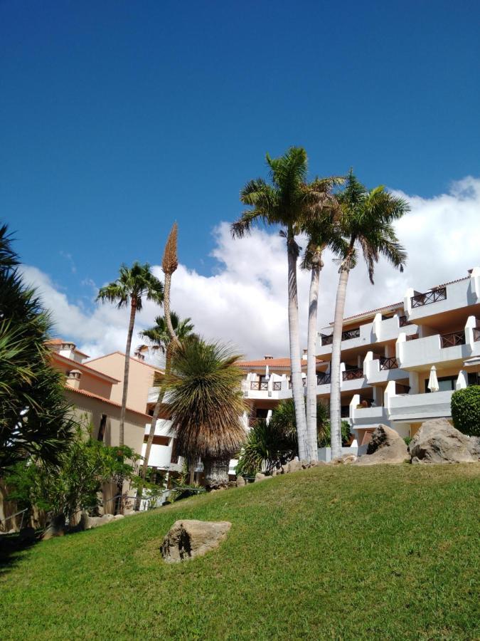 Forest Flat - Big Heated Pool, Terrace, Tv Channels, Golf Courses San Miguel de Abona Exteriör bild