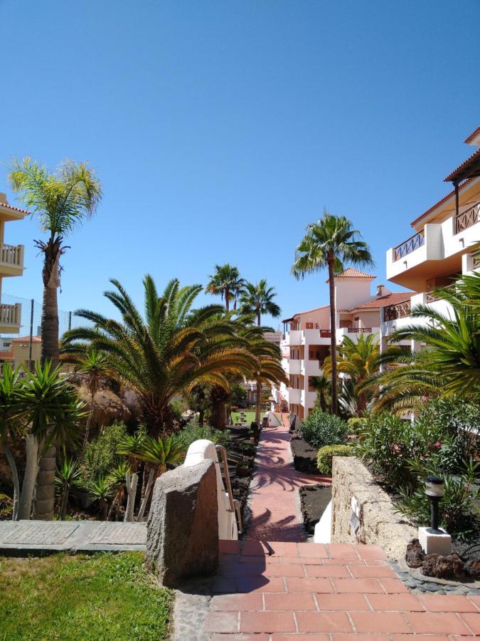 Forest Flat - Big Heated Pool, Terrace, Tv Channels, Golf Courses San Miguel de Abona Exteriör bild