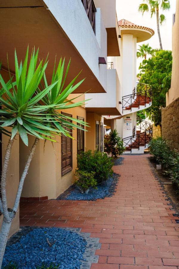 Forest Flat - Big Heated Pool, Terrace, Tv Channels, Golf Courses San Miguel de Abona Exteriör bild