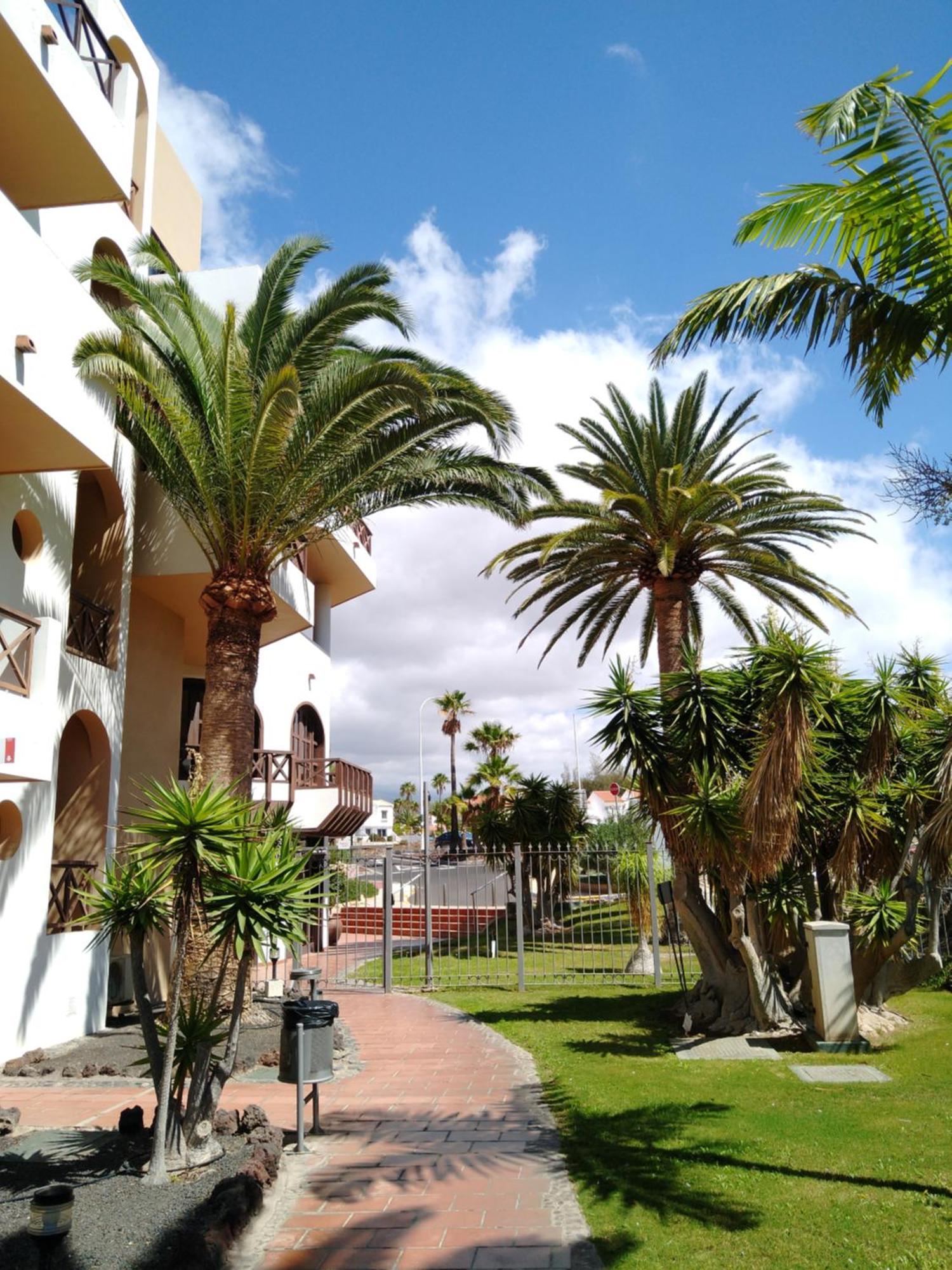 Forest Flat - Big Heated Pool, Terrace, Tv Channels, Golf Courses San Miguel de Abona Exteriör bild